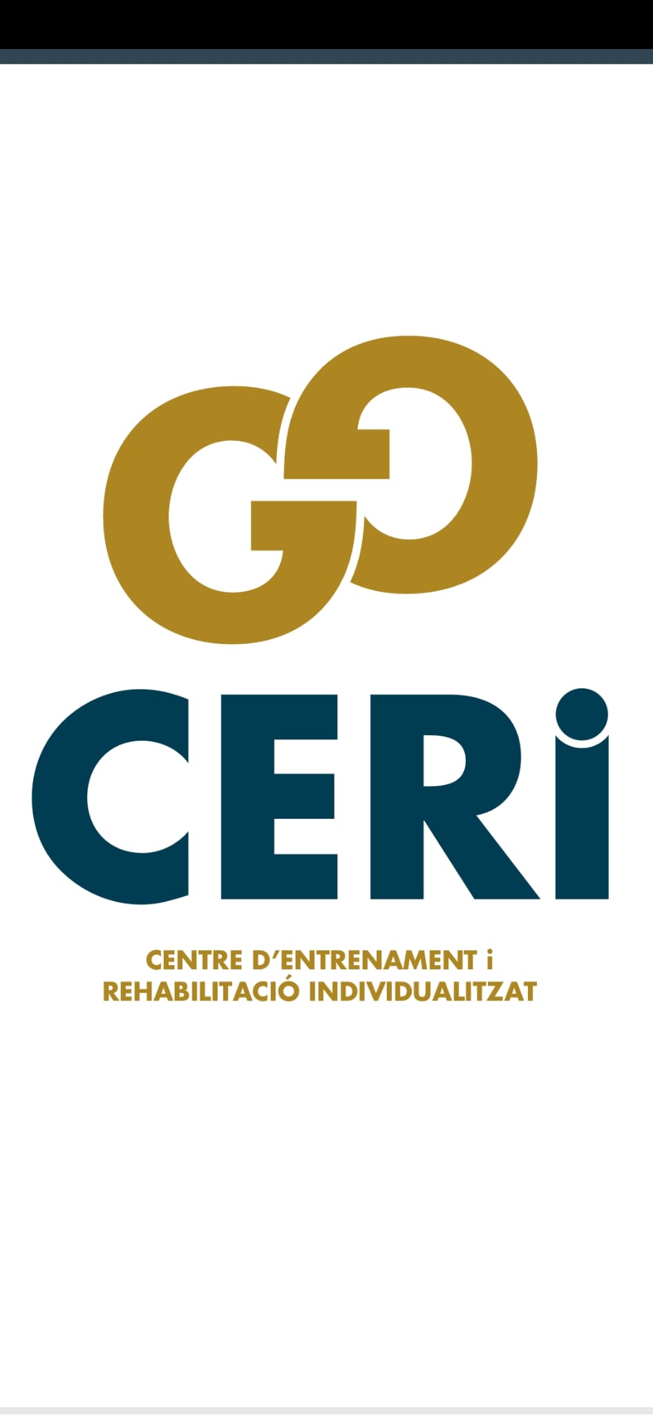 Logo CERI